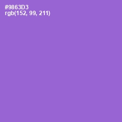 #9863D3 - Amethyst Color Image