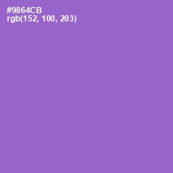 #9864CB - Amethyst Color Image