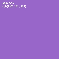 #9865C9 - Amethyst Color Image