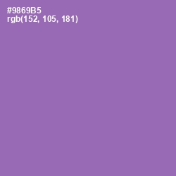#9869B5 - Wisteria Color Image
