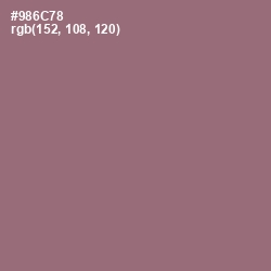 #986C78 - Bazaar Color Image