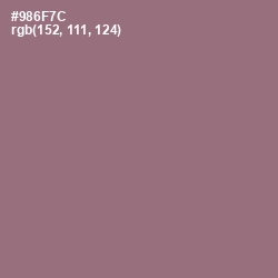 #986F7C - Bazaar Color Image