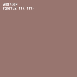 #98756F - Hemp Color Image