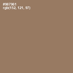 #987961 - Toast Color Image