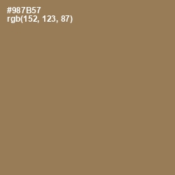 #987B57 - Leather Color Image