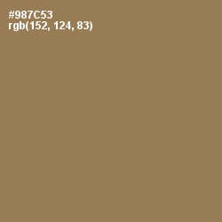 #987C53 - Leather Color Image