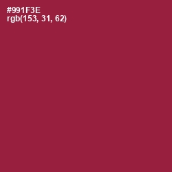 #991F3E - Merlot Color Image