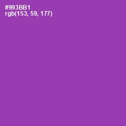 #993BB1 - Vivid Violet Color Image