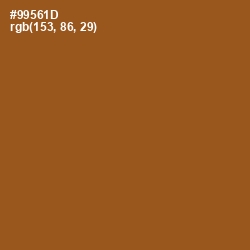 #99561D - Hawaiian Tan Color Image