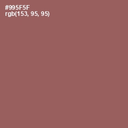 #995F5F - Sepia Skin Color Image