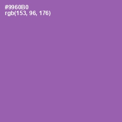 #9960B0 - Wisteria Color Image