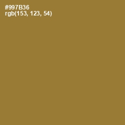 #997B36 - Kumera Color Image