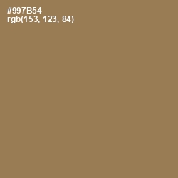 #997B54 - Leather Color Image