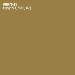 #997F43 - Leather Color Image