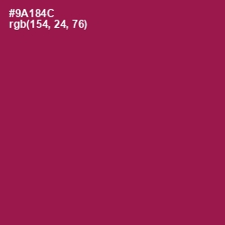 #9A184C - Disco Color Image