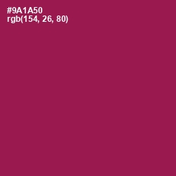 #9A1A50 - Disco Color Image