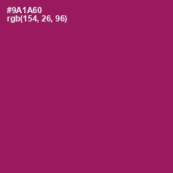 #9A1A60 - Fresh Eggplant Color Image