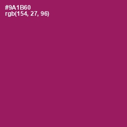 #9A1B60 - Fresh Eggplant Color Image