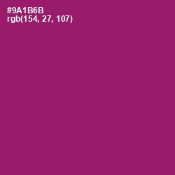 #9A1B6B - Fresh Eggplant Color Image