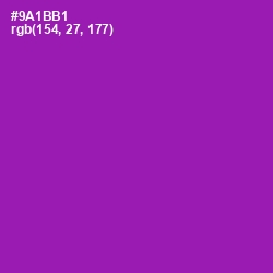 #9A1BB1 - Violet Eggplant Color Image