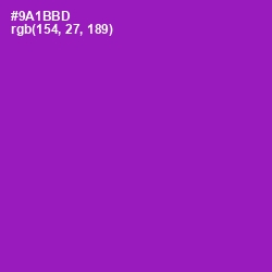 #9A1BBD - Violet Eggplant Color Image