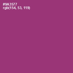 #9A3577 - Plum Color Image