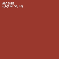 #9A382E - Prairie Sand Color Image