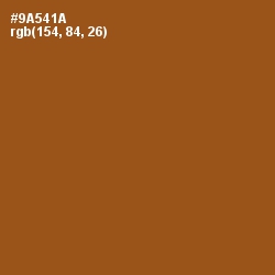 #9A541A - Hawaiian Tan Color Image