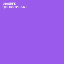 #9A5BED - Medium Purple Color Image