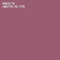 #9A5C70 - Cannon Pink Color Image
