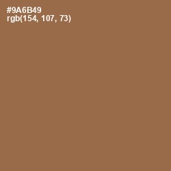 #9A6B49 - Leather Color Image