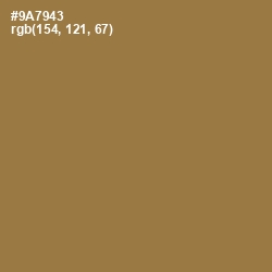 #9A7943 - Leather Color Image