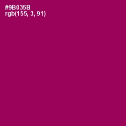 #9B035B - Cardinal Pink Color Image