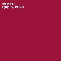 #9B1339 - Paprika Color Image