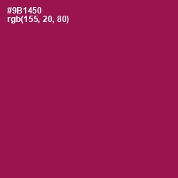 #9B1450 - Disco Color Image