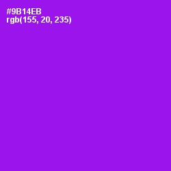 #9B14EB - Electric Violet Color Image