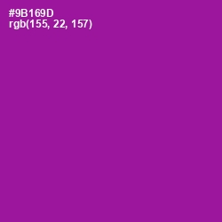 #9B169D - Violet Eggplant Color Image