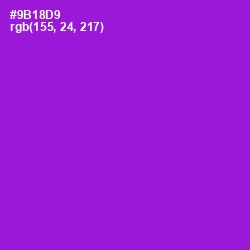 #9B18D9 - Electric Violet Color Image