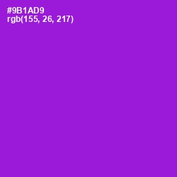 #9B1AD9 - Electric Violet Color Image