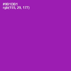 #9B1DB1 - Violet Eggplant Color Image