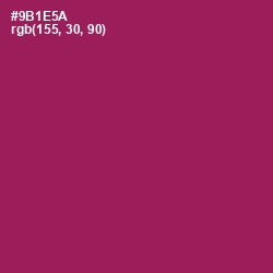 #9B1E5A - Disco Color Image