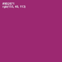 #9B2871 - Plum Color Image