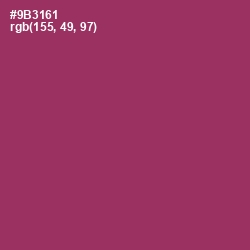 #9B3161 - Vin Rouge Color Image