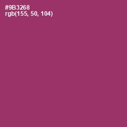 #9B3268 - Vin Rouge Color Image