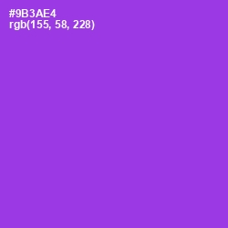 #9B3AE4 - Electric Violet Color Image
