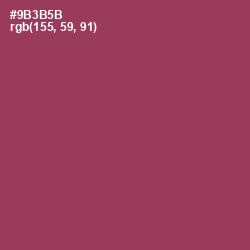 #9B3B5B - Camelot Color Image