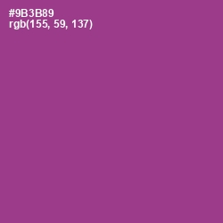 #9B3B89 - Vivid Violet Color Image