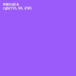 #9B5AFA - Medium Purple Color Image