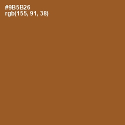 #9B5B26 - Potters Clay Color Image