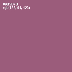#9B5B7B - Cannon Pink Color Image